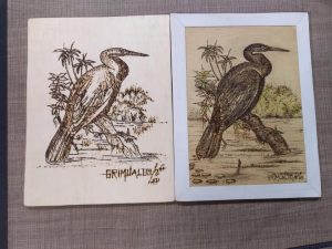 Leia mais sobre o artigo Grimualdo Barbosa ensina técnica de pirogravura inspirado em um pássaro da Amazônia
